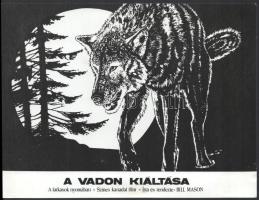 cca 1973 A vadon kiáltása, a farkasok nyomában című kanadai film jelenetei és szereplői, 5 db vintag...