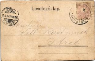 1899 (Vorläufer) Pöstyén, Piestany; Park részlet a Vág partján, komp. A. Bernas kiadása / Überfuhr u...