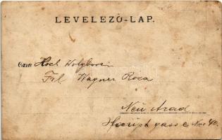 Arad, Hartmann János vendéglője, étterem, saját termésű kitűnő ménesi hegyi borok, Depold Ferenc rek...