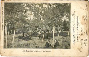 1899 (Vorläufer) Budapest XVI. Mátyásföld, Erzsébet liget egy részlete. Divald Károly 6069. sz. (EM)