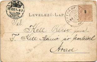 1899 (Vorläufer) Budapest XVI. Mátyásföld, Erzsébet liget egy részlete. Divald Károly 6069. sz. (EM)