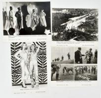 cca 1970-1980 10 db vegyes MTI fotó (közte vadászat, divat témájúak), 24x18 cm és 27x21 cm között