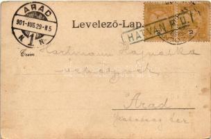 1901 Hatvan, Pályaudvar, vasútállomás. Hoffmann M. L. kiadása (ázott sarkak / wet corners)