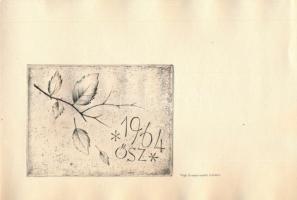 Végh Gusztáv (1889-1973): 1964. ősz. Rézkarc, papír. A Képcsarnok Végh Gusztáv grafikáiból rendezett...