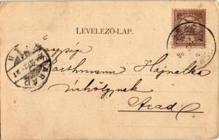 1901 Parád-gyógyfürdő, Erzsébet szálló. Klein Mór kiadása (fl)