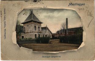 1902 Mezőhegyes, Cukorgyár igazgatói lak. Auspitz Lajos kiadása (ázott sarok / wet corner)