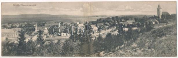 Nagyborosnyó, Borosnyó, Borosneu Mare; 2-részes kihajtható panorámalap. Springer Ignác felvétele / 2-tiled folding panoramacard (ázott / wet damage)