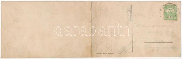 Nagyborosnyó, Borosnyó, Borosneu Mare; 2-részes kihajtható panorámalap. Springer Ignác felvétele / 2...