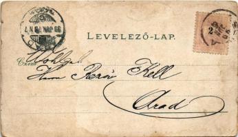 1899 (Vorläufer) Resicabánya, Resica, Resicza, Resita; látkép, vasgyár. Adolf Weiss kiadása / genera...