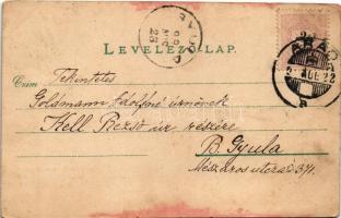 1899 (Vorläufer) Arad, Pénzügyi palota. Bloch H. nyomdája kiadása / financial palace (fl)