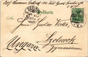 1900 Hamburg, Schnelldampfer Normannia. Art Nouveau, floral, litho (EB)