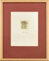 Kass János (1927-2010): Emberpár (cím nélkül). Rézkarc, papír, jelzett. Üvegezett fakeretben. 6×4,5 ...