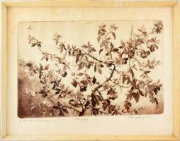Hertay Mária (1932-2018): Japán birs. Rézkarc, papír, jelzett, számozott (100/100), üvegezett fakeretben, lap széle kissé foltos, 65×20 cm
