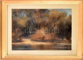 Blaskó János (1919-1988): Erdős vízpart (Duna?). Akvarell, papír, jelzett. Hátoldalán Képcsarnok Vállalat címkéjével. Üvegezett, dekoratív fakeretben, 45×60 cm