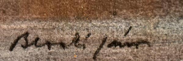 Blaskó János (1919-1988): Erdős vízpart (Duna?). Akvarell, papír, jelzett. Hátoldalán Képcsarnok Vál...