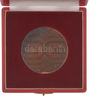 ~1980. "Ikarus 200000" kétoldalas bronz emlékérem dísztokban (60mm) T:AU patina