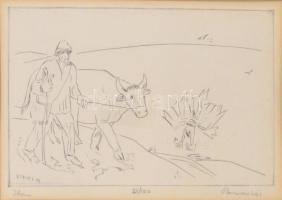 Borsos Miklós (1906-1990): Ikarusz. Rézkarc, papír, jelzett, számozott (92/100), üvegezett fakeretben, 19×29,5 cm