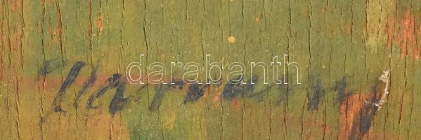 Vitéz Darvassy István (1888-1960). Faluvége, 1920 körül. Olaj, falemez, jelezve jobbra lent. Hátolda...