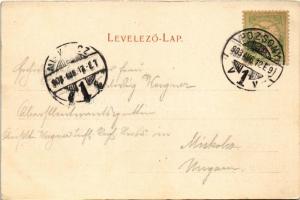 1903 Pozsony, Pressburg, Bratislava; II. Bimbóház étterem, nyaraló. Ottmar Zieher kiadása / II. Batz...