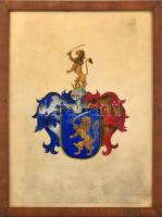 Nemesi család címere. Tempera, papír, jelzés nélkül. 41x30 cm. Üvegezett fakeretben.