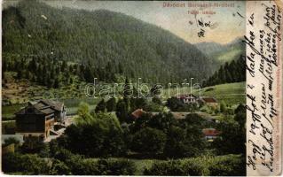 1905 Borosznófürdő, Brusno-kúpele (Borosznó, Brusznó, Brusno); látkép. Lechnitzky Ottó fénynyomdája kiadása / general view, spa (b)