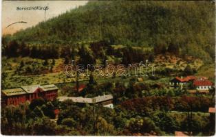 1910 Borosznófürdő, Brusno-kúpele (Borosznó, Brusznó, Brusno); látkép / general view, spa (EK)