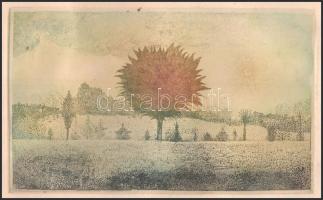 Olajos György (1953-): Színes táj (cím nélkül), 1978. Rézkarc, papír, jelzett a karcon. Lap bal fels...