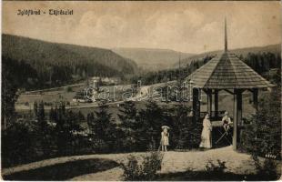 1924 Iglófüred, Bad Zipser Neudorf, Spisská Nová Ves Kupele, Novovesské Kúpele; Táj részlet. Wlaszlovits Gusztáv kiadása / general view (fa)