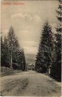 1916 Iglófüred, Bad Zipser Neudorf, Spisská Nová Ves Kupele, Novovesské Kúpele; Nagy fürdőház. Wlaszlovits Gusztáv kiadása / spa, bath (EK)