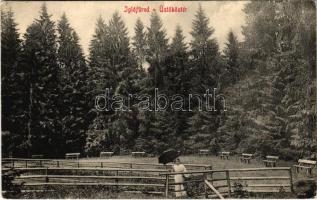 Iglófüred, Bad Zipser Neudorf, Spisská Nová Ves Kupele, Novovesské Kúpele; Üstökös tér. Wlaszlovits Gusztáv kiadása / spa, bath (EK)