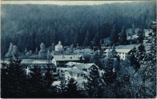 1931 Feketehegy-fürdő, Feketehegy, Schwartzenberg, Cernohorské kúpele (Merény, Vondrisel, Nálepkovo); fürdő / spa, bath (EK)