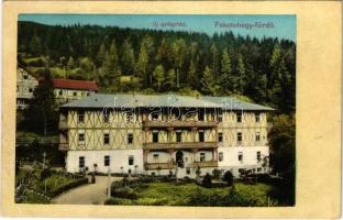 1911 Feketehegy-fürdő, Feketehegy, Schwartzenberg, Cernohorské kúpele (Merény, Vondrisel, Nálepkovo); Új gyógyház / spa, bath (EK)