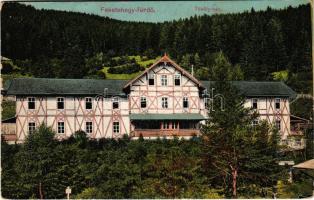 1911 Feketehegy-fürdő, Feketehegy, Schwartzenberg, Cernohorské kúpele (Merény, Vondrisel, Nálepkovo); Thököly ház / villa, spa (szakadás / tear)