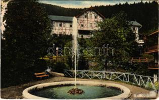 1913 Feketehegy-fürdő, Feketehegy, Schwartzenberg, Cernohorské kúpele (Merény, Vondrisel, Nálepkovo); Thököly ház / villa, spa (EM)