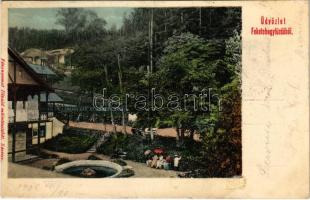 1905 Feketehegy-fürdő, Feketehegy, Schwartzenberg, Cernohorské kúpele (Merény, Vondrisel, Nálepkovo); fürdő. Fénynyomat Divald műintézetéből / spa, bath (ragasztónyom / glue marks)