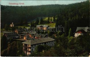 1912 Feketehegy-fürdő, Feketehegy, Schwartzenberg, Cernohorské kúpele (Merény, Vondrisel, Nálepkovo); látkép / general view, spa (EB)
