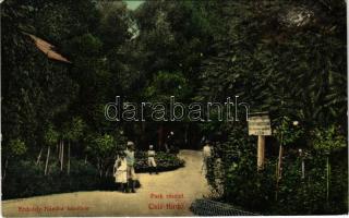 1912 Csíz, Csízfürdő, Kúpele Cíz; Park. Szoyka Pál kiadása / spa, park (fl)