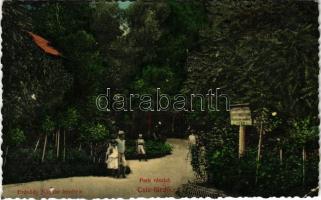 1910 Csíz, Csízfürdő, Kúpele Cíz; Park. Szoyka Pál kiadása / spa, park (Rb)