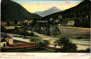 1907 Fenyőháza, Lubochna; Brunner nyaraló, felül háttérben a Sip. Feitzinger Ede N. 883. 1905. / von der Villa Brunner aus / villa, mountain (EB)