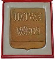 DN "Hatvan Város" kétoldalas, öntött bronz plakett, előlapon a városi címerrel (105x85mm) ...