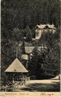 1912 Stószfürdő, Stoósz-fürdő, Kúpele Stós; részlet. Wlaszlovits Gusztáv kiadása / general view, villa (fa)