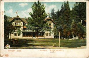 Lőcsefüred, Lőcse-fürdő, Levocské Kúpele (Lőcse, Levoca); Fürdőház, nyaraló. Feitzinger Ede 1902/12. 438. Auto-Chrom / Bad Leutschau / spa, villa (EK)
