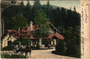 1905 Lőcsefüred, Lőcse-fürdő, Levocské Kúpele (Lőcse, Levoca); Fürdőház. Braun Fülöp kiadása / spa, bathhouse (kopott sarkak / worn corners)