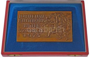 Kiss Kovács Gyula (1922-1984) "Jubileumi Kulturális Hetek Szolnok 1975 / 900 éves Szolnok" kétoldalas, öntött bronz plakett, eredeti dísztokban (72x124mm) T:AU