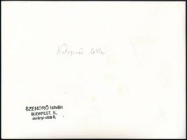 cca 1930-1940 Szendrő István (1908-2000): Kolozsvár látképe (Erdély), pecséttel jelzett, 17×23 cm