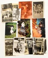 Állatokat ábrázoló, vegyes régi és modern fotók, össz. 42 db, vegyes méretben