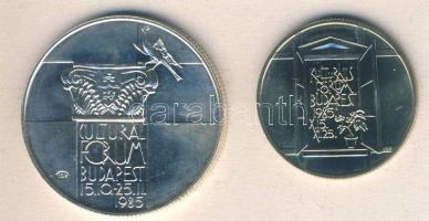 1985. 100Ft + 500Ft Ag "Kultúrális fórum" pár T:BU