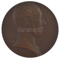 Beck Ötvös Fülöp (1873-1945) 1941. "JOANNES BALASSA / SOCIETAS REGIA MEDICORVM BVDAPESTIENSIS" bronz emlékérem (67mm) T:XF kis patina, ph HP 836.