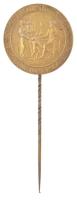 1927. "Német Gyermekorvosok Társasága Budapest" aranyozott fém kitűző, hátoldalán "Arkanzas Budapest" gyártói jelzéssel (23mm) T:AU patina