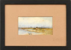 Rainerné Istvánffy Gabriella (1875-1964): Juhász nyájával. Vegyes technika, papír. Jelzett. Üvegezett fakeretben. 8,5x14,5 cm